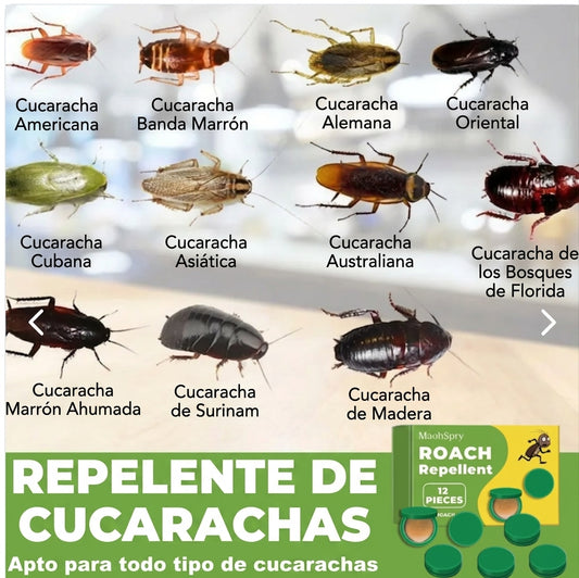 Gel Anti-Cucarachas Endbug (12 Piezas)