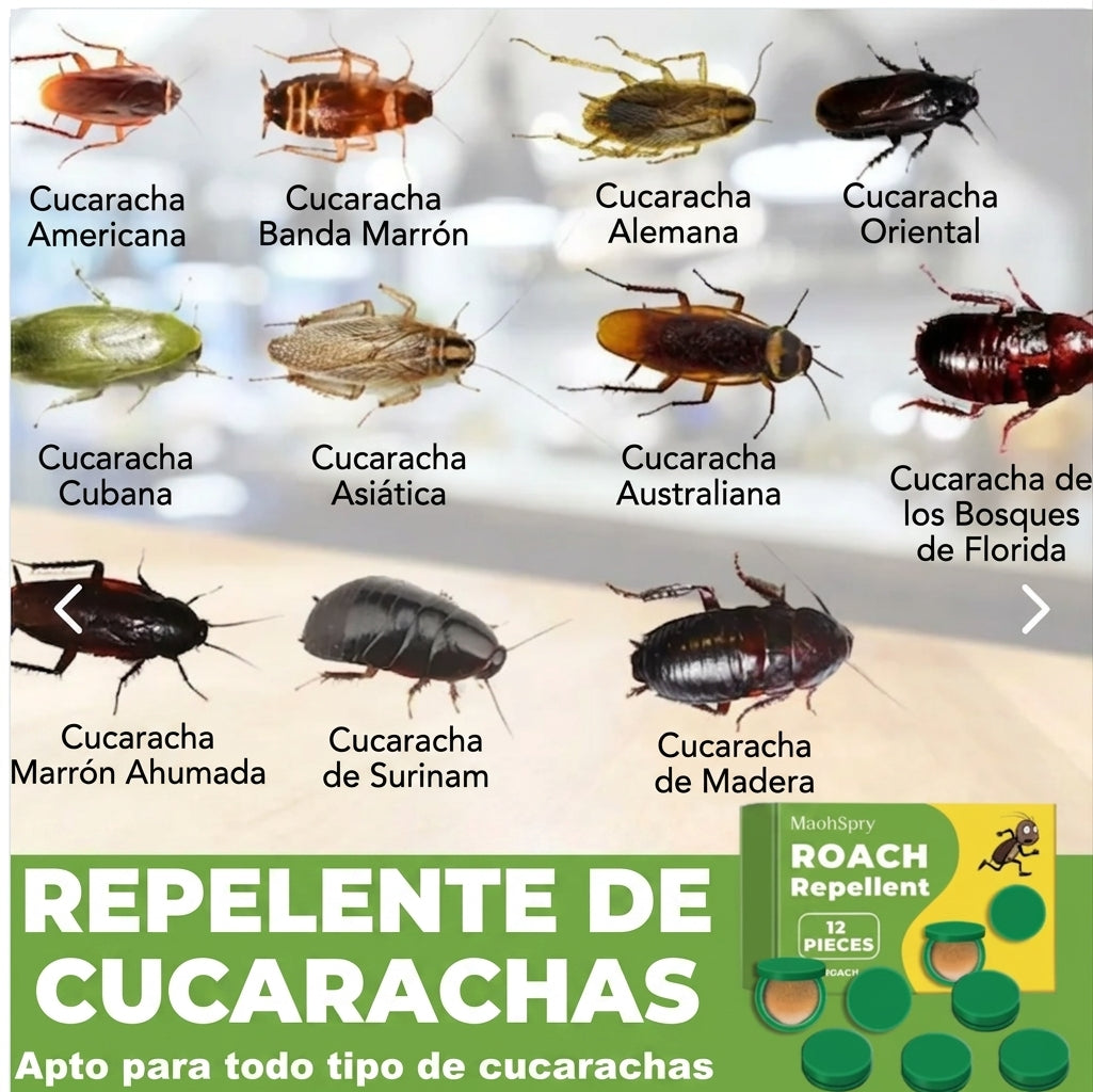 Gel Anti-Cucarachas Endbug (12 Piezas)
