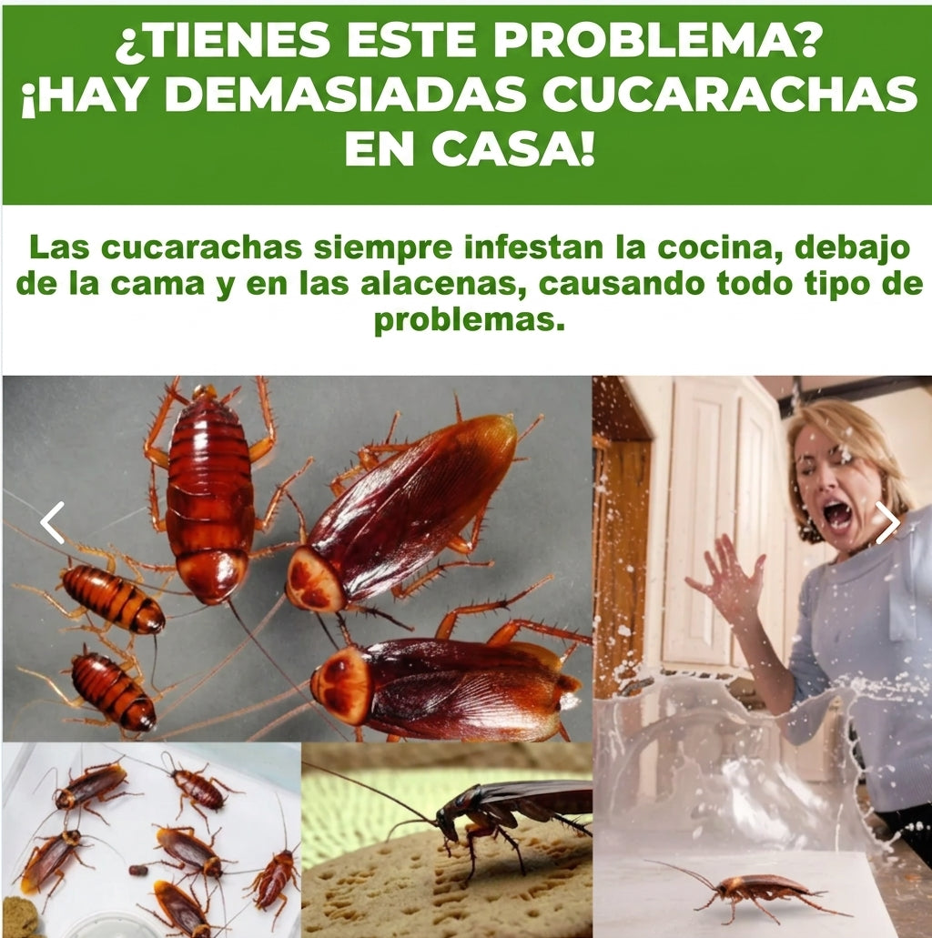 Gel Anti-Cucarachas Endbug (12 Piezas)
